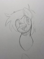 Size: 1536x2048 | Tagged: safe, artist:fullmetalsketch, oc, oc only, male, open mouth, open smile, sketch, smiling, solo, stallion, traditional art