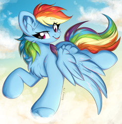 Size: 3154x3210 | Tagged: safe, artist:woonborg, rainbow dash, pegasus, pony, g4, chest fluff, cloud, ear fluff, faic, flying, frog (hoof), high res, sky, smiling, smirk, smug, smugdash, solo, speedpaint, spread wings, time-lapse, underhoof, wings
