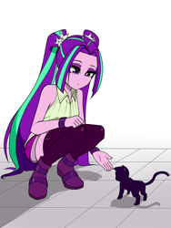 Size: 1500x2000 | Tagged: safe, artist:nekojackun, aria blaze, cat, equestria girls, g4, bare shoulders, clothes, female, holding out hand, kitten, shorts, skindentation, sleeveless, socks, solo, squatting, thigh highs, vest