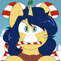 Size: 2000x2000 | Tagged: safe, artist:2k.bugbytes, oc, oc only, oc:flash reboot, pony, unicorn, bust, candy, candy cane, christmas, clothes, commission, female, food, high res, holiday, holly, holly mistaken for mistletoe, horn, looking at you, mare, mouth hold, portrait, scarf, smiling, smiling at you, snow, snowfall, solo, unicorn oc, ych example, your character here