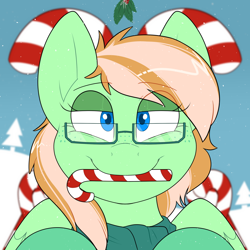 Size: 2000x2000 | Tagged: safe, artist:2k.bugbytes, oc, oc only, oc:sapphie, pegasus, pony, bags under eyes, bust, candy, candy cane, christmas, clothes, commission, female, food, freckles, glasses, high res, holiday, holly, holly mistaken for mistletoe, lidded eyes, looking at you, mare, mouth hold, pegasus oc, portrait, scarf, smiling, snow, snowfall, solo, two toned mane, ych result