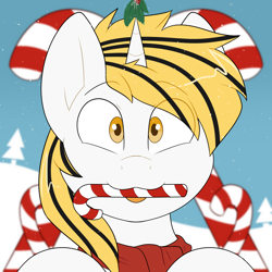 Size: 2000x2000 | Tagged: safe, artist:2k.bugbytes, oc, oc only, oc:srok, pony, unicorn, bust, candy, candy cane, christmas, clothes, commission, food, high res, holiday, holly, holly mistaken for mistletoe, horn, looking at you, mouth hold, portrait, scarf, smiling, snow, snowfall, solo, tongue out, two toned mane, unicorn oc, ych result