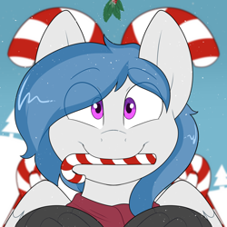 Size: 2000x2000 | Tagged: safe, artist:2k.bugbytes, oc, oc only, oc:delta dart, hippogriff, bust, candy, candy cane, christmas, clothes, commission, food, high res, hippogriff oc, holiday, holly, holly mistaken for mistletoe, looking at you, male, mouth hold, portrait, scarf, smiling, smiling at you, snow, snowfall, solo, two toned mane, ych result