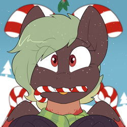 Size: 2000x2000 | Tagged: safe, artist:2k.bugbytes, oc, oc only, oc:terracotta, hippogriff, bust, candy, candy cane, christmas, clothes, commission, cute, cute little fangs, fangs, female, food, freckles, high res, hippogriff oc, holiday, holly, holly mistaken for mistletoe, looking at you, markings, mouth hold, portrait, scarf, smiling, smiling at you, snow, snowfall, solo, tongue out, two toned mane, ych result