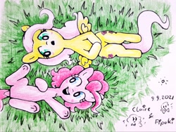 Size: 1024x768 | Tagged: safe, artist:fipoki, fluttershy, pinkie pie, earth pony, pegasus, pony, g4, cute, female, lying down, mare, on back, open mouth, signature, spread wings, traditional art, underhoof, wings
