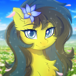 Size: 2500x2500 | Tagged: safe, artist:stesha, oc, oc only, oc:star wormwood, pegasus, pony, blue eyes, bust, chest fluff, commission, cute, ear fluff, eye clipping through hair, eyebrows, eyebrows visible through hair, female, flower, flower field, flower in hair, high res, looking at you, mare, pegasus oc, portrait, sky, sky background, smiling, smiling at you, solo, two toned mane