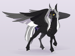 Size: 2000x1500 | Tagged: safe, artist:dementra369, oc, oc only, oc:midnight serenity, pegasus, pony, chest fluff, concave belly, ear fluff, fangs, hoof fluff, hooves, large wings, partially open wings, pegasus oc, raised hoof, signature, slender, solo, sternocleidomastoid, thin, turned head, unshorn fetlocks, wings