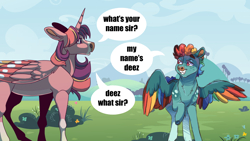 Size: 1920x1080 | Tagged: safe, artist:horsecrimes, rainbow dash, twilight sparkle, alicorn, pony, g4, alternate design, colored wings, deez nuts, multicolored wings, rainbow blitz, rule 63, this will end in "gottem", twilight sparkle (alicorn), wings