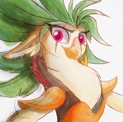 Size: 1984x1967 | Tagged: safe, artist:zidanemina, captain celaeno, bird, ornithian, parrot pirates, anthro, g4, bust, eye scar, facial scar, female, pirate, portrait, scar, signature, simple background, smiling, solo, traditional art, watercolor painting, white background