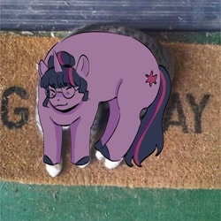 Size: 2048x2048 | Tagged: safe, artist:cardigansandcats, twilight sparkle, pony, unicorn, equestria girls, g4, eyes closed, glasses, high res, lying down, photo, ponified animal photo, smiling, solo