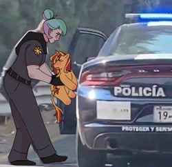 Size: 2048x1985 | Tagged: safe, artist:cardigansandcats, princess celestia, sunset shimmer, human, pony, unicorn, equestria girls, g4, car, clothes, duo, female, holding a pony, horn, human and pony, irl, leonine tail, mare, photo, police, police car, ponified animal photo, tail