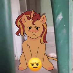 Size: 2048x2048 | Tagged: safe, artist:cardigansandcats, sunset shimmer, pony, unicorn, equestria girls, g4, blushing, censored, cute, emoji, frown, grumpy, high res, looking at you, photo, ponified animal photo, shimmerbetes, sunset shimmer is not amused, unamused