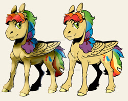 Size: 1920x1513 | Tagged: safe, artist:sandieflower, oc, oc only, oc:goldie crust, pegasus, pony, beige background, deviantart watermark, male, multicolored hair, nudity, obtrusive watermark, offspring, parent:donut joe, parent:rainbow dash, parents:donutdash, rainbow hair, sheath, simple background, solo, stallion, watermark