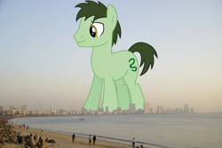 Size: 2047x1366 | Tagged: safe, anonymous editor, artist:dragonchaser123, edit, potion hiss, earth pony, pony, background pony, giant pony, giant/macro earth pony, highrise ponies, india, irl, macro, male, mega giant, mumbai, photo, ponies in real life, solo, stallion