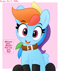 Size: 3016x3589 | Tagged: safe, artist:pabbley, artist:rainbowšpekgs, rainbow dash, pegasus, pony, g4, bronybait, chest fluff, clothes, collar, cute, dashabetes, female, high res, looking at you, mare, master, pet-dash, pony pet, smiling, smiling at you, socks, solo, stockings, talking to viewer, thigh highs