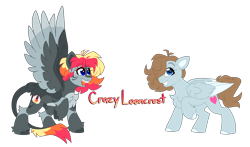 Size: 6924x4068 | Tagged: safe, artist:crazysketch101, oc, oc:crazy looncrest, pegasus, pony, chest fluff, folded wings, leonine tail, self insert, simple background, smiling, spread wings, tail, transparent background, wings