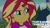 Size: 1920x1080 | Tagged: safe, edit, edited screencap, editor:quoterific, screencap, flash sentry, sunset shimmer, human, equestria girls, g4, my little pony equestria girls: legend of everfree