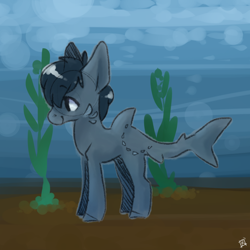 Size: 1280x1280 | Tagged: safe, artist:sinclair2013, oc, oc only, original species, shark, shark pony, bubble, dorsal fin, fin, fish tail, ocean, seaweed, smiling, solo, tail, underwater, water
