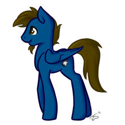 Size: 800x800 | Tagged: safe, artist:sinclair2013, oc, oc only, pegasus, pony, male, simple background, solo, stallion, transparent background