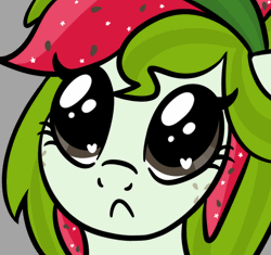 Size: 768x723 | Tagged: safe, artist:sjart117, oc, oc only, oc:watermelana, pony, animated, begging, big eyes, bust, eye shimmer, female, freckles, frown, gif, gray background, mare, meme, no bitches?, portrait, simple background, solo, wingding eyes