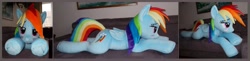 Size: 5324x1308 | Tagged: safe, artist:calusariac, rainbow dash, pegasus, pony, g4, folded wings, irl, life size, lying down, multiple views, photo, plushie, prone, side view, solo, wings