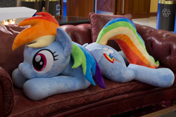 Size: 4846x3231 | Tagged: safe, artist:azgchip, rainbow dash, pegasus, pony, g4, absurd file size, couch, cute, dashabetes, female, high res, irl, life size, lying down, mare, photo, plushie, prone, recycle bin, solo, sploot