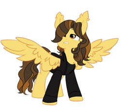 Size: 1340x1182 | Tagged: safe, artist:thieftea, pegasus, pony, chest fluff, clothes, commission, ear fluff, hair over one eye, jacket, lidded eyes, long mane, long sleeves, long tail, looking up, male, ponified, simple background, solo, spread wings, stallion, standing, tail, the academy is..., trap, white background, william beckett, wings