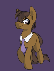 Size: 875x1138 | Tagged: safe, artist:sinclair2013, oc, oc only, earth pony, pony, male, necktie, simple background, solo, stallion