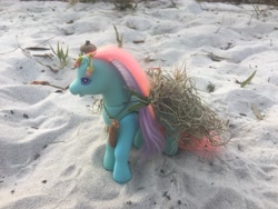 Size: 4032x3024 | Tagged: safe, ivy, earth pony, pony, g2, acorn, bow, cactus, clothes, dress, druid, female, florida, flower, flower in hair, grass, hair bow, irl, mare, necklace, photo, pinecone, plant, sand, solo, toy
