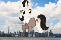 Size: 2048x1365 | Tagged: safe, anonymous editor, artist:starryshineviolet, edit, medallion gold, pony, unicorn, g4, background pony, giant pony, giant unicorn, highrise ponies, irl, looking at you, macro, male, manhattan, mega giant, new york, new york city, photo, ponies in real life, smiling, solo, stallion, story included
