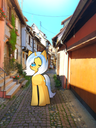 Size: 3000x4000 | Tagged: safe, artist:miwq, derpibooru exclusive, oc, oc:aurore soleilevant, pony, unicorn, house, irl, looking at you, orange coat, photo, ponies in real life, solo, town