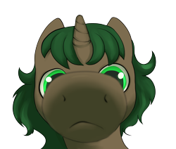 Size: 2600x2200 | Tagged: safe, artist:dumbwoofer, oc, oc only, oc:pine shine, pony, unicorn, female, high res, looking at you, mare, meme, simple background, snoot, solo, transparent background