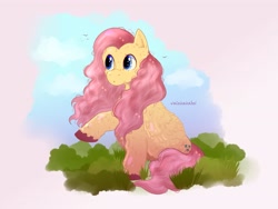 Size: 4000x3000 | Tagged: safe, artist:valeisaisabel1, fluttershy, pegasus, pony, g4, female, fluffy, folded wings, high res, looking at something, looking away, mare, outdoors, raised hoof, sitting, solo, sparkles, unshorn fetlocks, wings