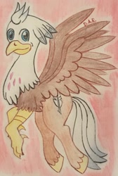 Size: 1576x2343 | Tagged: safe, artist:gracefulart693, oc, oc only, oc:silver quill, hippogriff, hippogriff oc, solo, traditional art, unshorn fetlocks, wings