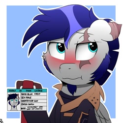 Size: 2000x2000 | Tagged: safe, artist:h3nger, oc, oc only, oc:blue crest, pegasus, pony, blushing, eye scar, facial scar, high res, horny on main, id card, male, pegasus oc, scar, simple background, solo