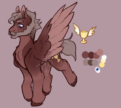 Size: 922x817 | Tagged: safe, artist:tyotheartist1, oc, oc only, pegasus, pony, male, pegasus oc, reference sheet, solo, stallion