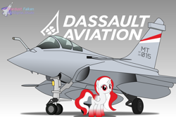 Size: 3000x2000 | Tagged: safe, artist:rarity3257, oc, oc:indonisty, pony, unicorn, aircraft, dassault aviation, dassault rafale, high res, indonesia, jet, jet fighter, nation ponies, ponified, rafale, simple background, vector, vector trace