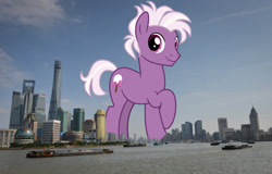 Size: 2048x1310 | Tagged: safe, anonymous editor, artist:cheezedoodle96, edit, loganberry, earth pony, pony, g4, background pony, china, friendship student, giant pony, giant/macro earth pony, highrise ponies, irl, macro, male, mega giant, photo, ponies in real life, shanghai, solo, stallion