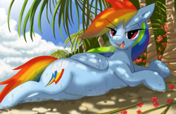 Size: 3072x2004 | Tagged: safe, artist:neoshrek, rainbow dash, pegasus, pony, g4, belly, belly button, eye clipping through hair, eyebrows, eyebrows visible through hair, female, folded wings, high res, looking at you, lying down, mare, open mouth, open smile, palm tree, prone, smiling, smiling at you, solo, tree, wet, wings