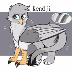 Size: 4000x4000 | Tagged: artist needed, safe, oc, oc:kendji, griffon, claws, colored, flat colors, griffon oc, looking away, paws, reference sheet, shy