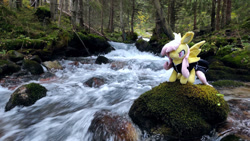 Size: 1192x670 | Tagged: safe, fluttershy, bat pony, pegasus, pony, g4, bat ponified, flutterbat, forest, irl, photo, ponies in real life, race swap, river, solo, stream, water