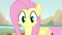 Size: 1920x1080 | Tagged: source needed, safe, artist:canaryprimary, fluttershy, pegasus, pony, g4, animated, blushing, eyes on the prize, female, mare, noice, reacting to nudity, show accurate, smiling, solo, sound, surprised, webm