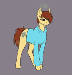 Size: 1933x2011 | Tagged: safe, artist:leafywolf, oc, oc only, changeling, earth pony, pony, animated, changeling oc, clothes, gif, gray background, green changeling, hoodie, male, shapeshifting, simple background, stallion, transformation