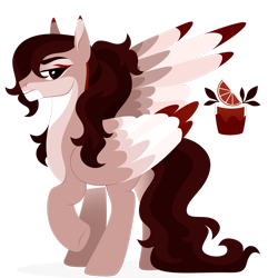 Size: 1920x1920 | Tagged: safe, artist:kabuvee, oc, oc only, oc:altair, pegasus, pony, colored wings, male, multicolored wings, pegasus oc, simple background, solo, stallion, transparent background, wings