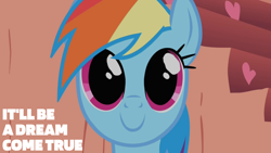 Size: 1920x1080 | Tagged: safe, edit, edited screencap, editor:quoterific, screencap, rainbow dash, pegasus, pony, g4, sonic rainboom (episode), cute, dashabetes, female, golden oaks library, mare, solo