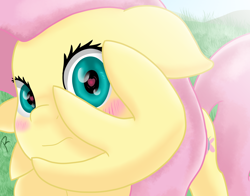 Size: 1380x1080 | Tagged: safe, artist:reinbou, fluttershy, pegasus, pony, g4, blushing, cute, heart, heart eyes, looking at you, shy, shyabetes, solo, wingding eyes