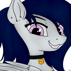 Size: 4000x4000 | Tagged: safe, artist:sassysvczka, oc, oc only, oc:sassysvczka, pegasus, pony, bust, chest fluff, collar, confident, ear fluff, evil smile, folded wings, grin, looking at you, looking back, looking back at you, pegasus oc, pet tag, portrait, simple background, smiling, transparent background, wings