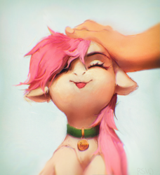 Size: 1709x1873 | Tagged: safe, artist:rvsd, roseluck, human, pony, g4, :p, behaving like a cat, collar, commission, commissioner:doom9454, cute, eyes closed, floppy ears, hand, human on pony petting, offscreen character, offscreen human, pet tag, petting, pony pet, rosepet, solo focus, tongue out