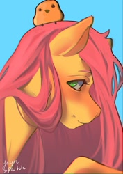 Size: 1191x1684 | Tagged: safe, artist:jaynsparkle, fluttershy, bird, pegasus, pony, g4, aside glance, chick, female, looking at you, looking sideways, mare, profile, raised hoof, simple background, sitting on head, solo, teal background