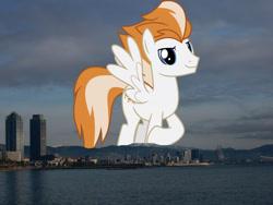 Size: 1024x768 | Tagged: safe, anonymous editor, artist:chainchomp2 edits, edit, fire streak, pegasus, pony, g4, background pony, barcelona, giant pegasus, giant pony, highrise ponies, irl, looking at you, macro, male, mega giant, photo, ponies in real life, smiling, solo, spain, spread wings, stallion, wings